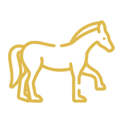 Ikona koně